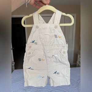 Dinosaur Embroidered Overalls